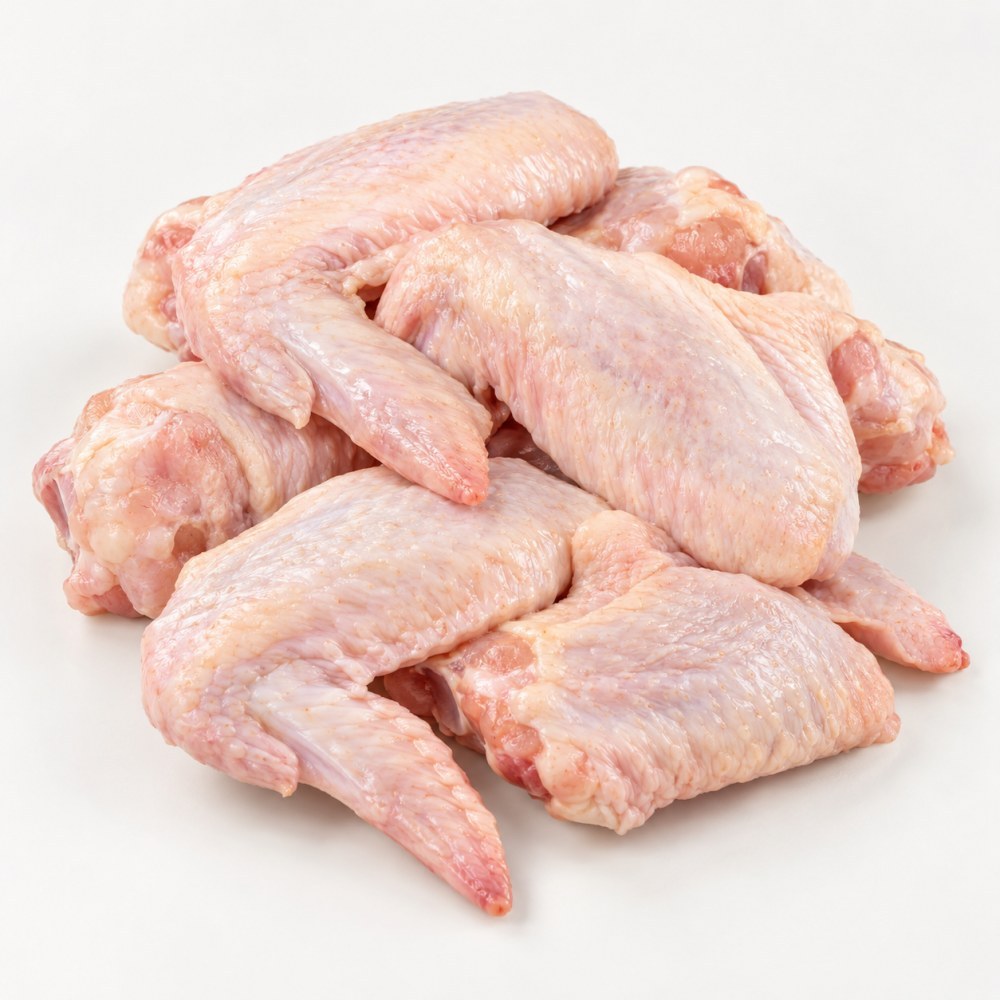AYAM SAYAP